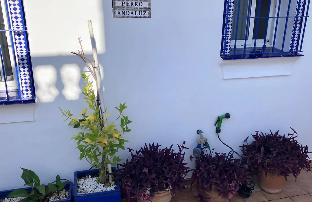 Casa Perro Andaluz-1